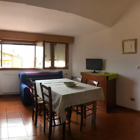 Milou Vicino Ospedale S Francesco Νουόρο